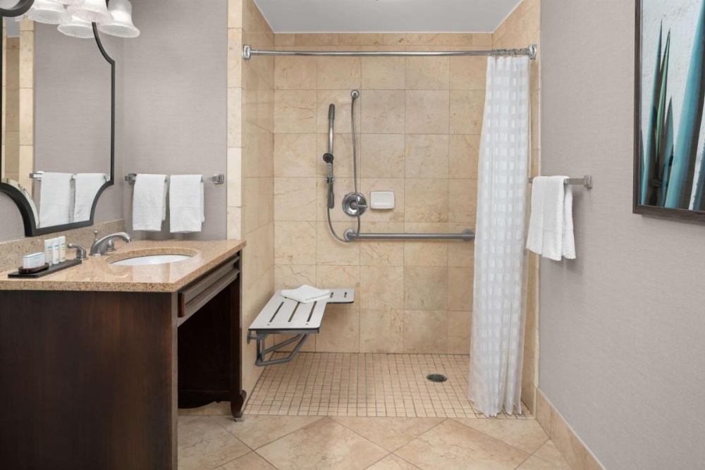 Embassy Suites By Hilton San Antonio Riverwalk-Downtown Image 35