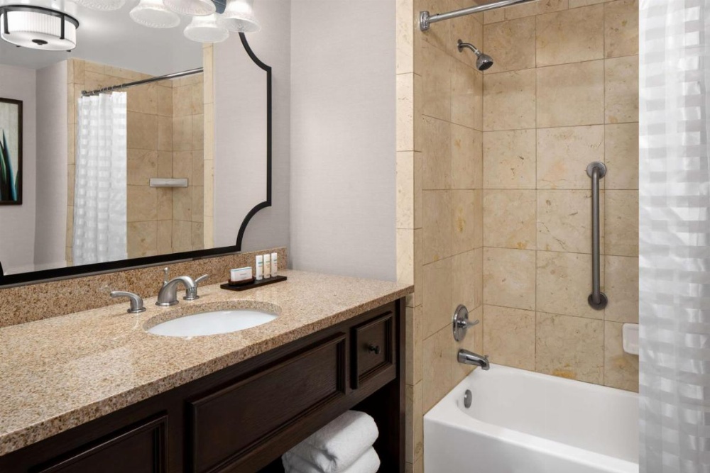 Embassy Suites By Hilton San Antonio Riverwalk-Downtown Image 6